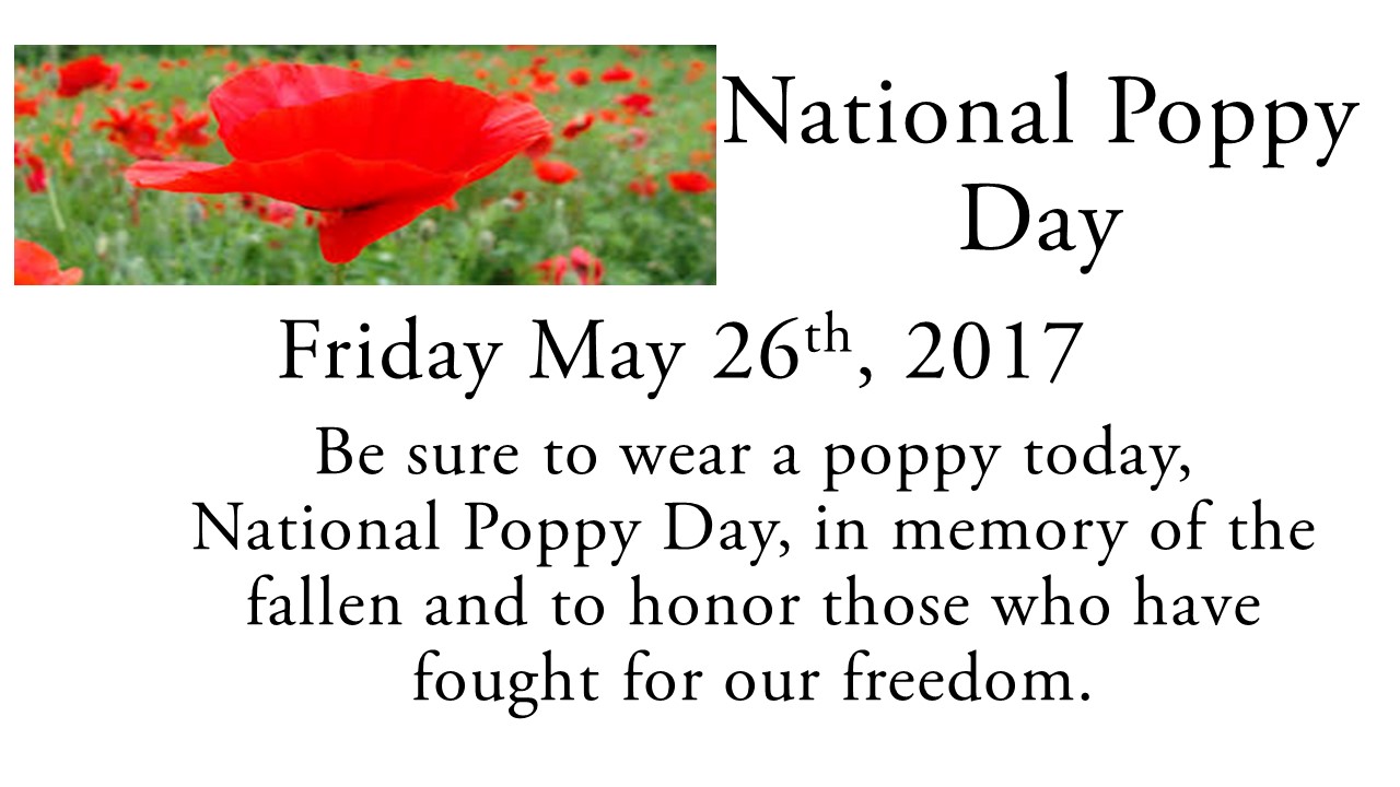 National Poppy Day Patriot Connections