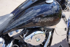 18952806_10212204561924595_1279482988974607901_n