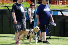 19030196_10212204535163926_3381134454702125057_n