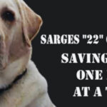 Sarge's "22" Challenge- Walk to bring awareness to Veteran suicide